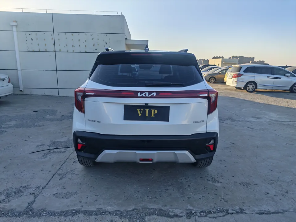 Kia Seltos CYLTUS 1.5L IVT Luxury Edition 2024 — миниатюра 2