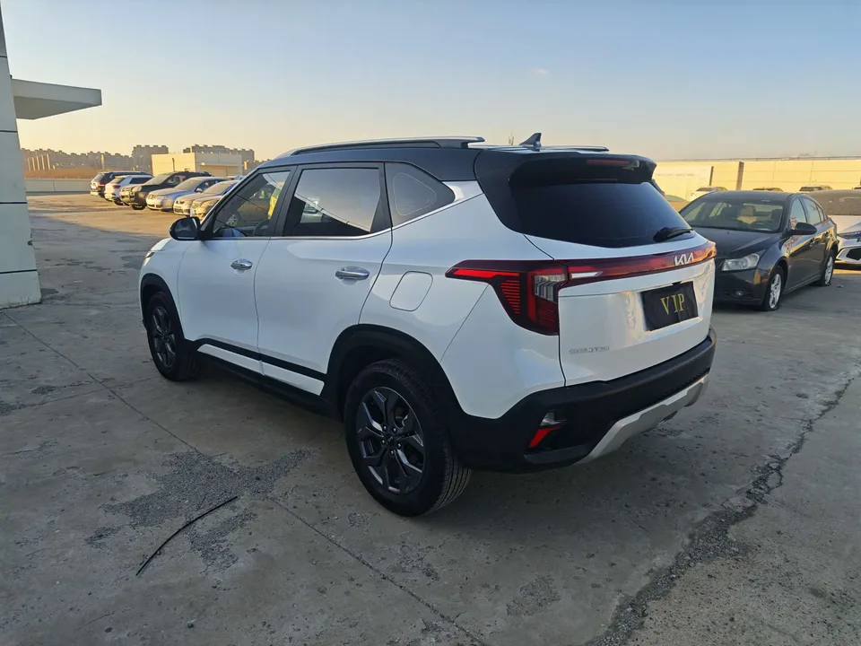 Kia Seltos CYLTUS 1.5L IVT Luxury Edition 2024 — миниатюра 4