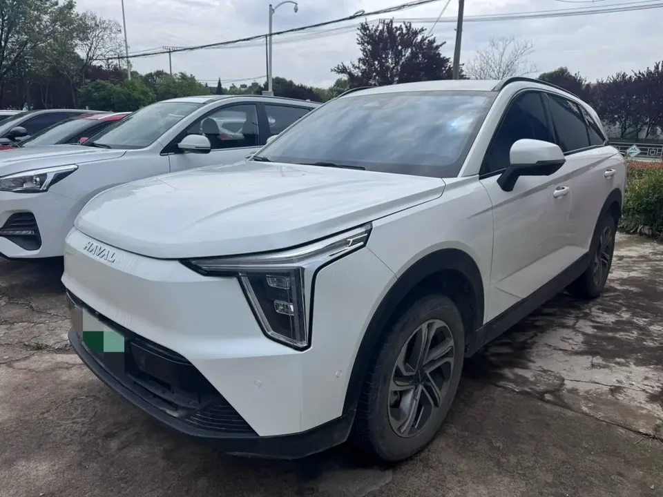 Haval Harvard Xiaolong 2024