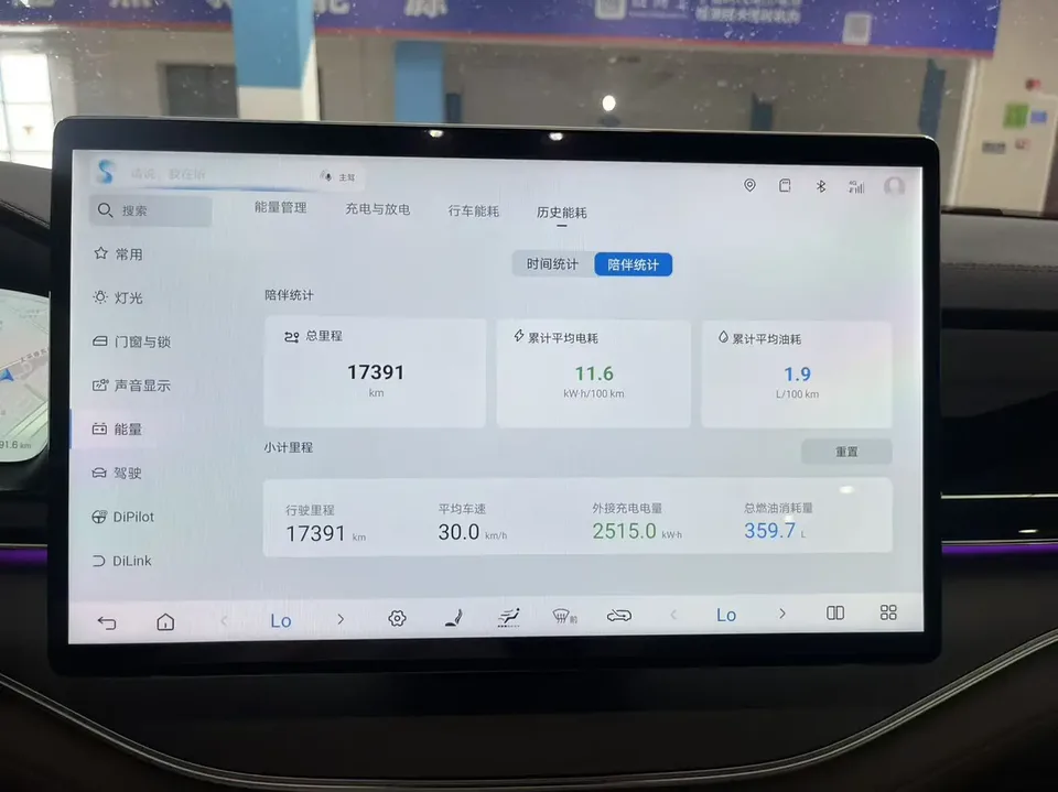 BYD Tang DM Tang DM 2025 DM-i 115KM Premium 2025 — миниатюра 2
