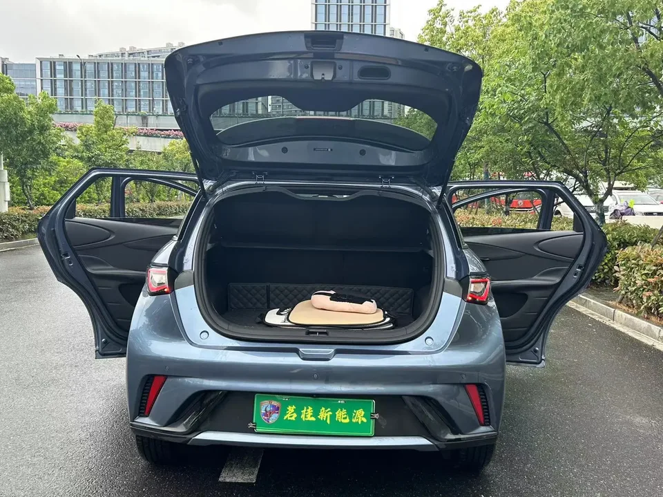 BYD Dolphin Honor Edition 420km Fashion Edition 2025 — миниатюра 3