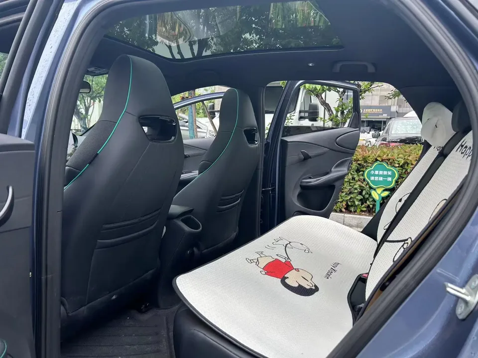 BYD Dolphin Honor Edition 420km Fashion Edition 2025 — миниатюра 5