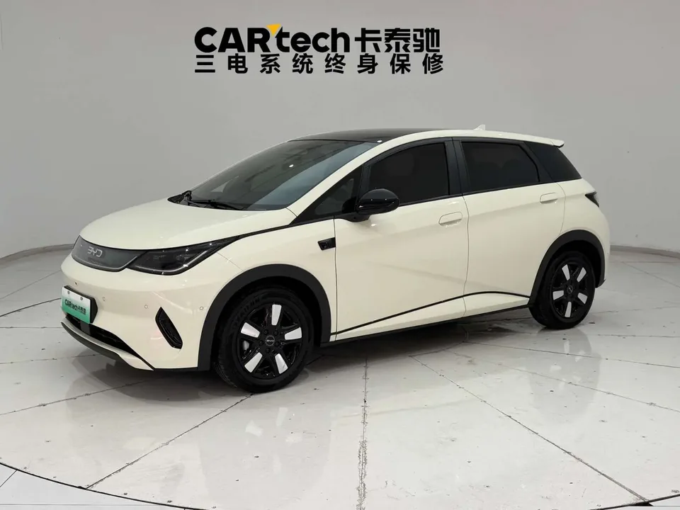 BYD Dolphin Dolphin 2025 Smart Driving Edition 410KM Fashion Edition 2025 — photo 1, buy with delivery to Moscow