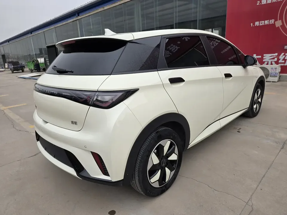 BYD Dolphin Honor Edition 420km Fashion Edition 2024 — миниатюра 2