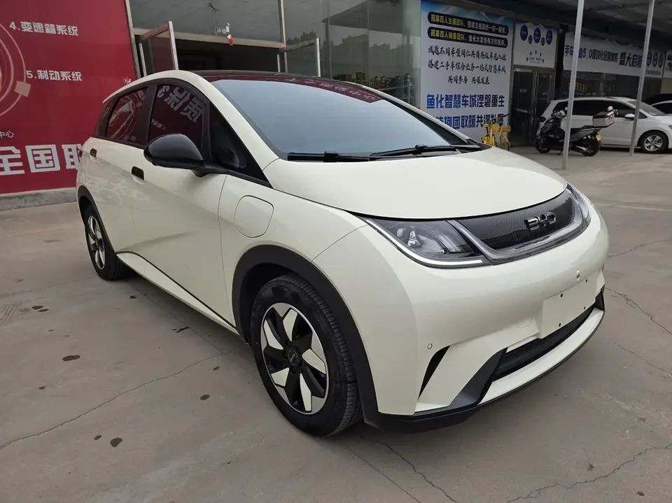 BYD Dolphin Honor Edition 420km Fashion Edition 2024 — миниатюра 3