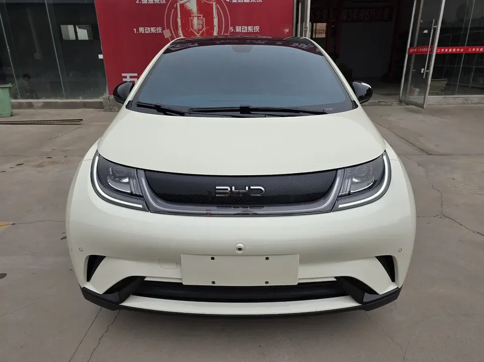 BYD Dolphin 2024