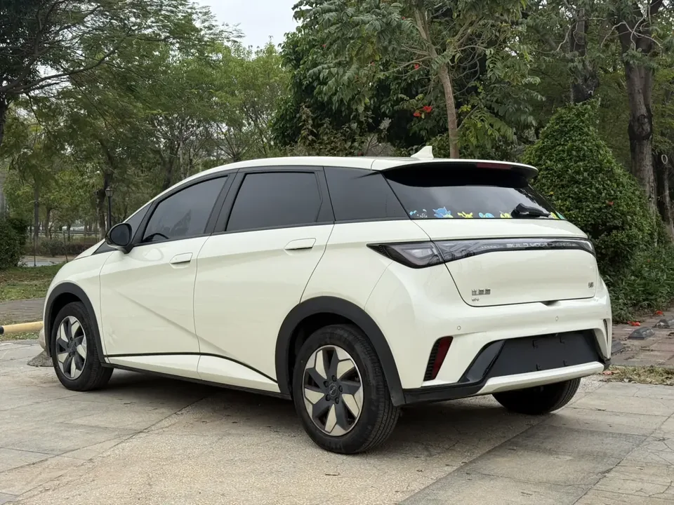 BYD Dolphin dolphin 2024 Glory Edition 420km Freedom Edition 2024 — thumbnail 4