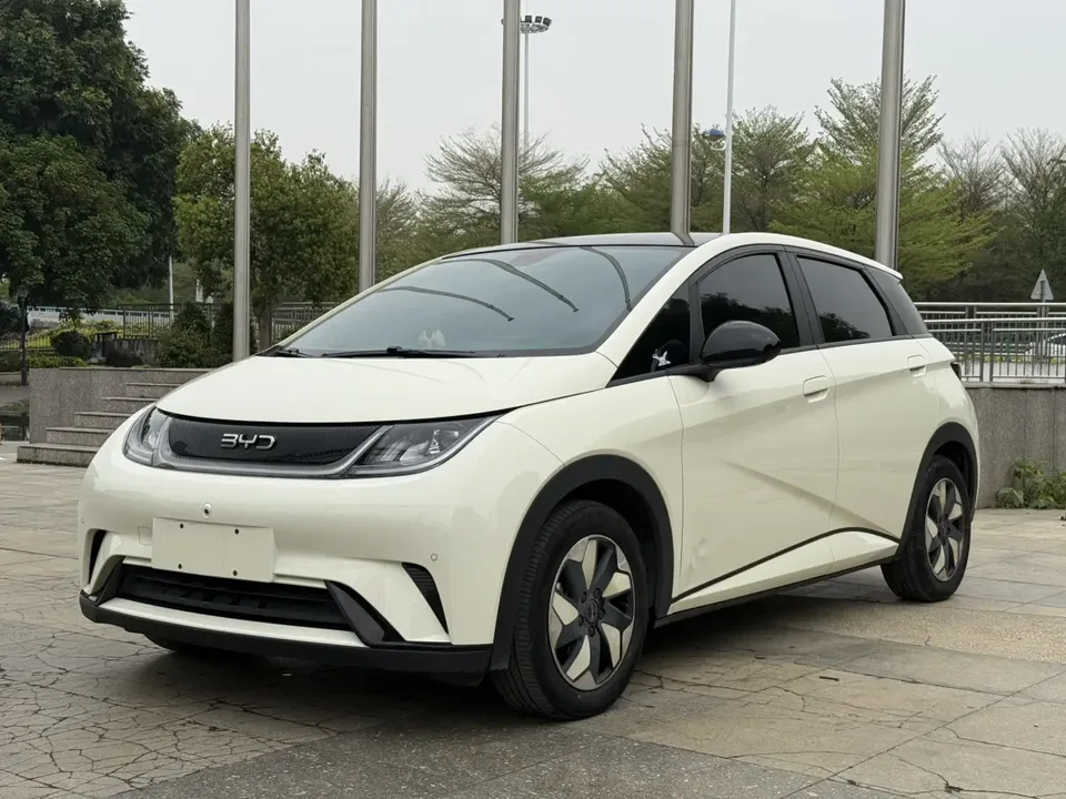 BYD Dolphin dolphin 2024 Glory Edition 420km Freedom Edition 2024 — photo 1, buy with delivery to Moscow