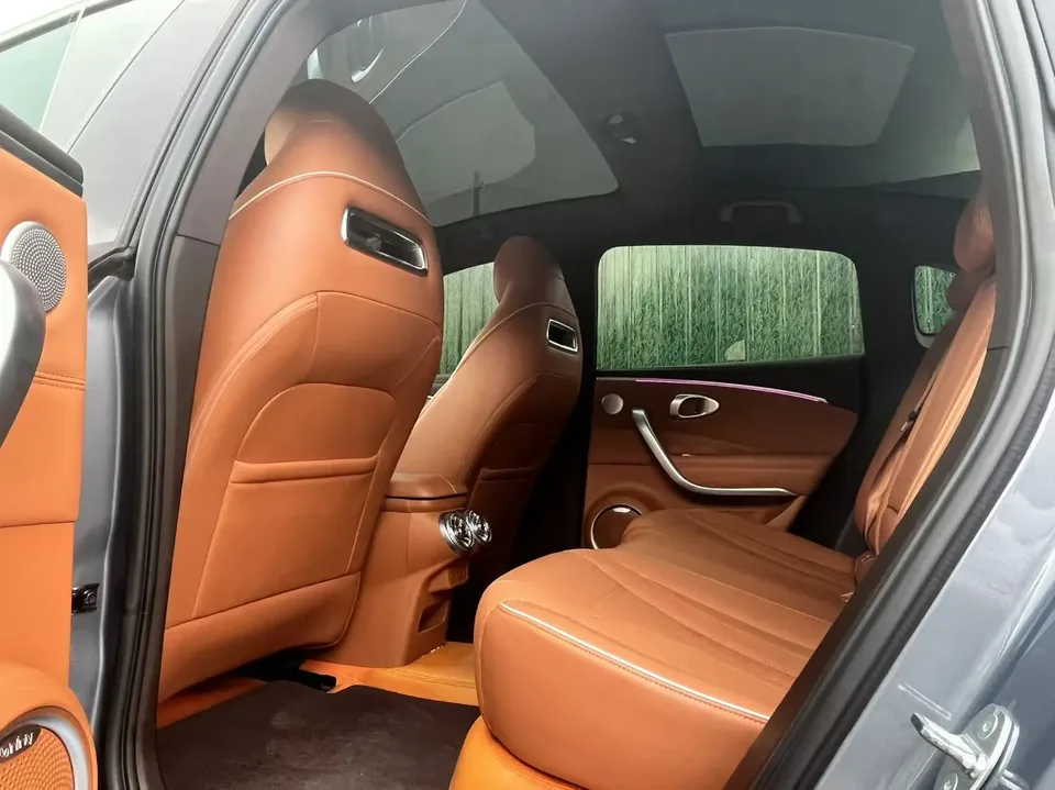 ORA Euler lightning cat 555km Premium Edition 2023 — миниатюра 3