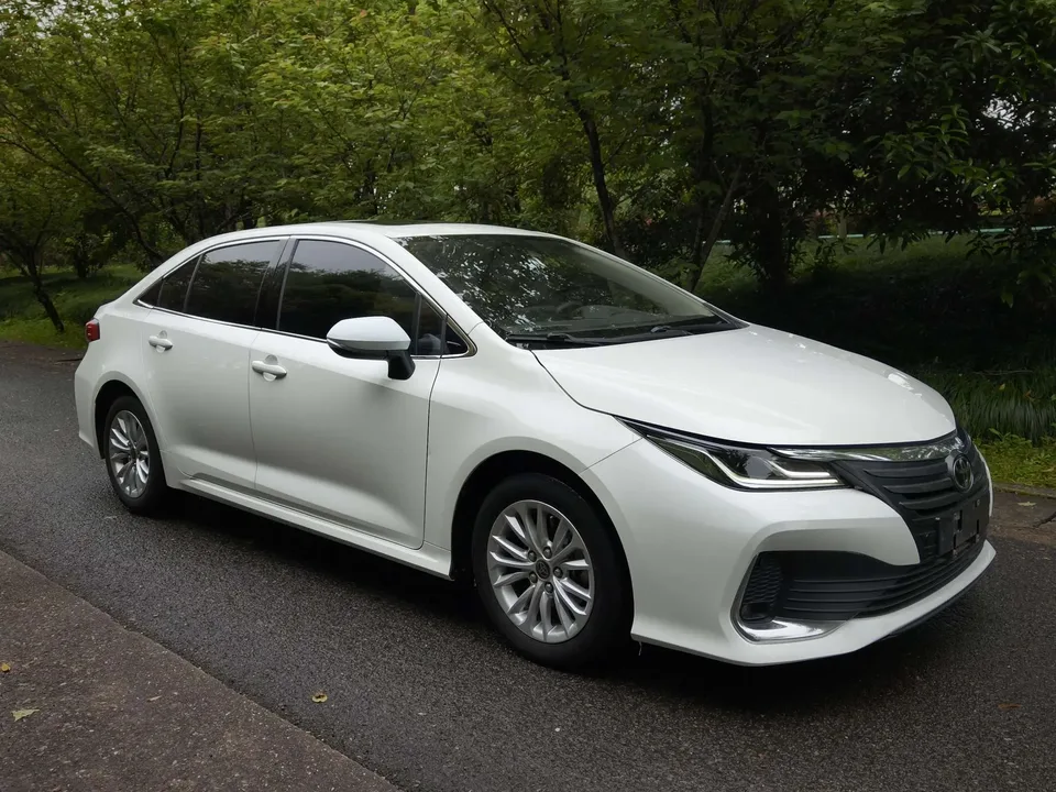 Toyota Asiatic lion 2023
