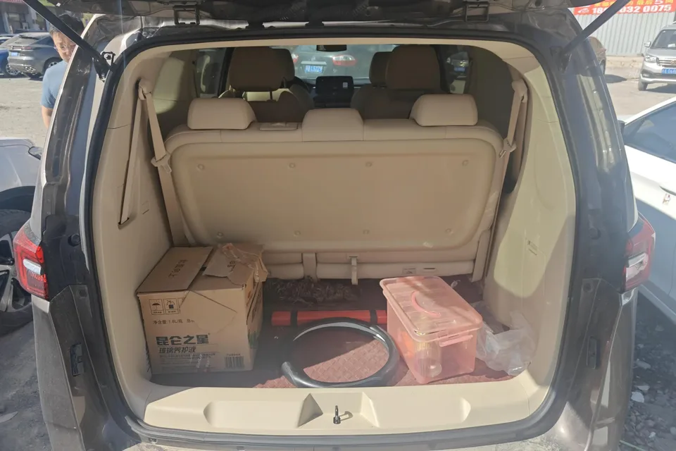 Buick GL8 facelift land business class 652T smart luxury model 2024 — миниатюра 5