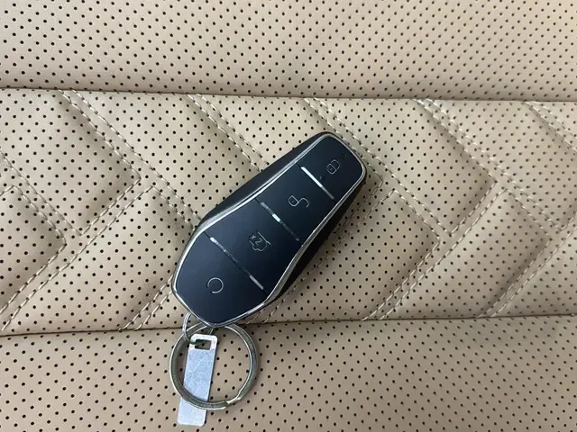 BYD Song L DM DM-i 112KM Beyond Edition 2025 — миниатюра 3