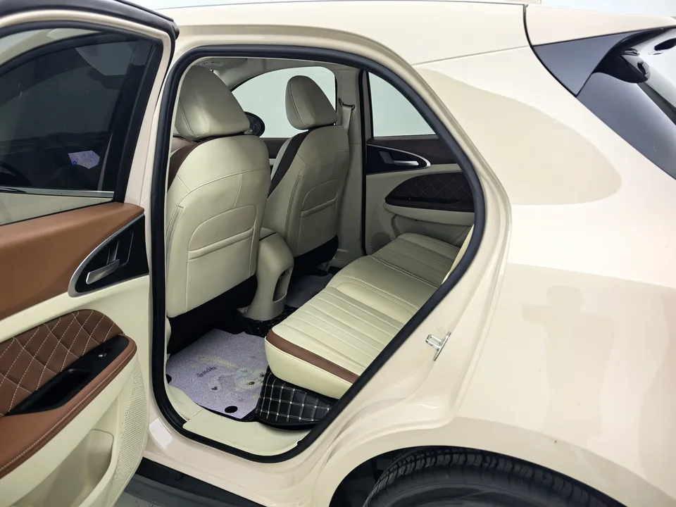 ORA Euler good cat 401km standard range luxury lithium iron phosphate 2024 — миниатюра 4