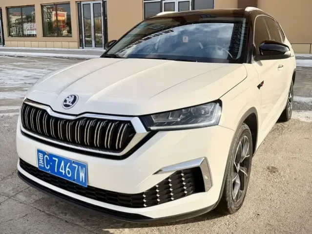 Skoda Kamiq TSI230 DSG flagship version 2022 — фото 1, купить с доставкой в Москву