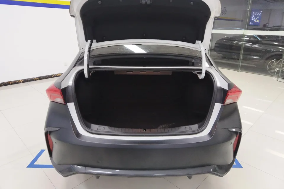 Buick Valeant Valeant 2023 Pro GS Hunting Edition 2024 — миниатюра 3