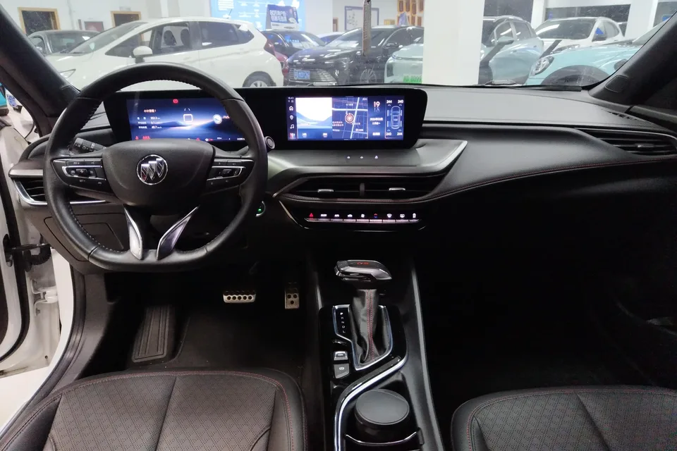 Buick Valeant Valeant 2023 Pro GS Hunting Edition 2024 — миниатюра 4