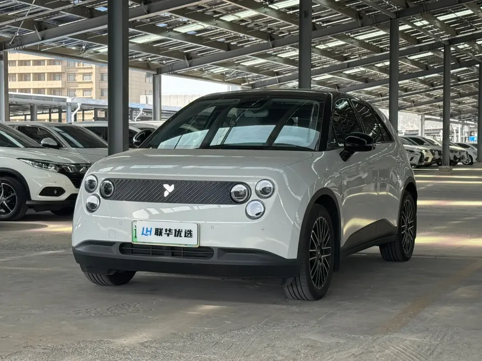 Firefly firefly firefly 2025 Luminous version 2026 — photo 1, buy with delivery to Moscow