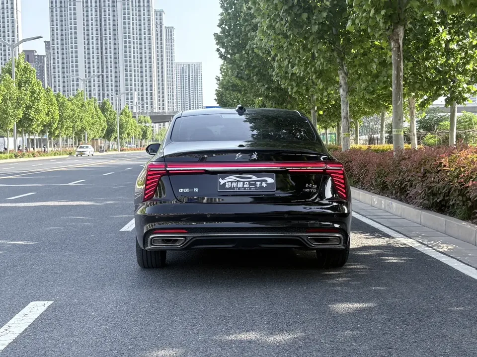 Hongqi H5 Hongqi H5 2025 2.0T Automatic Flagship 500,000 Commemorative Edition 2026 — миниатюра 2