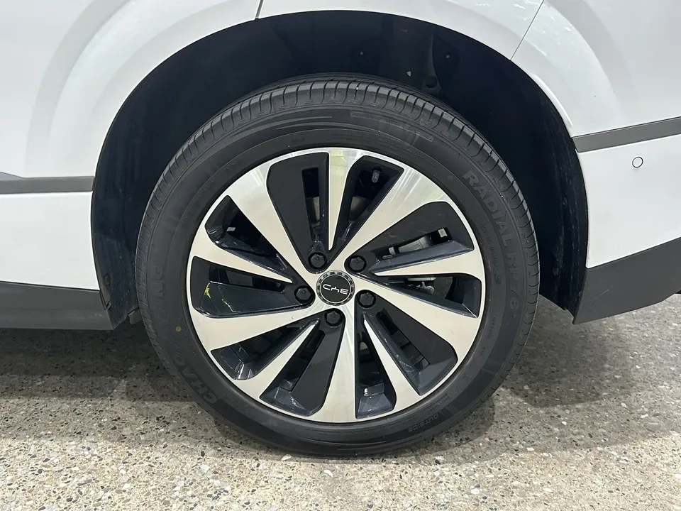 BYD Sea Lion 06EV 520 Pilot Edition 2025 — миниатюра 3