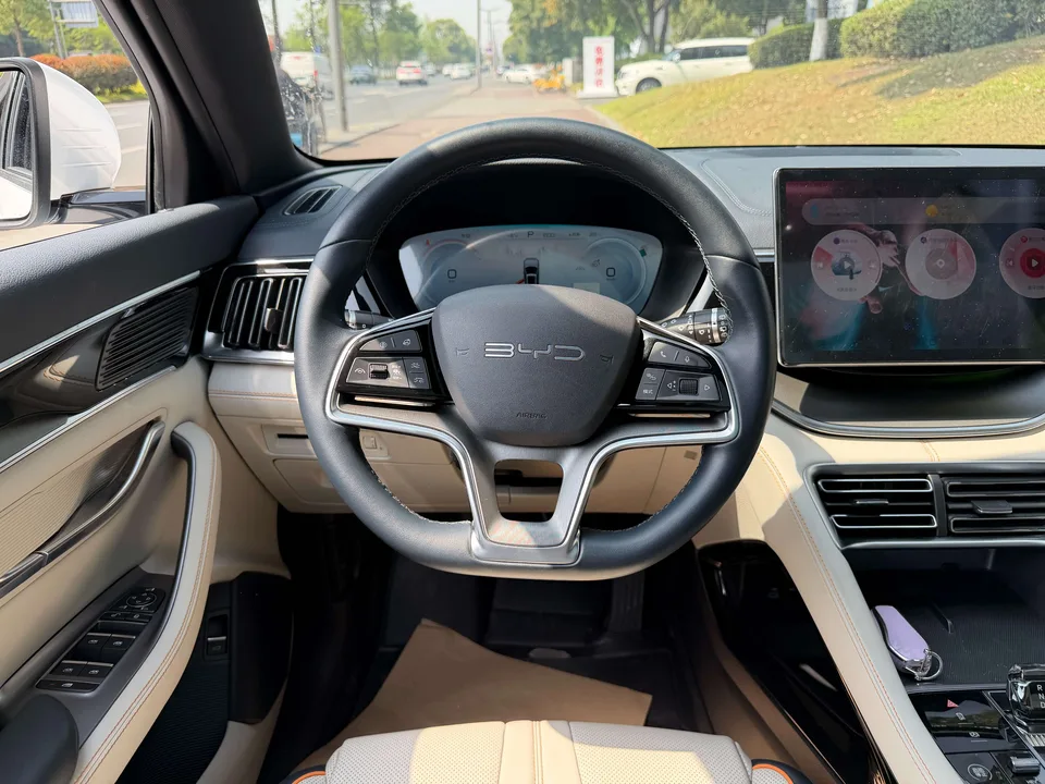 BYD Song PLUS DM DM-i Champion Edition 110KM Flagship PLUS 2024 — миниатюра 3