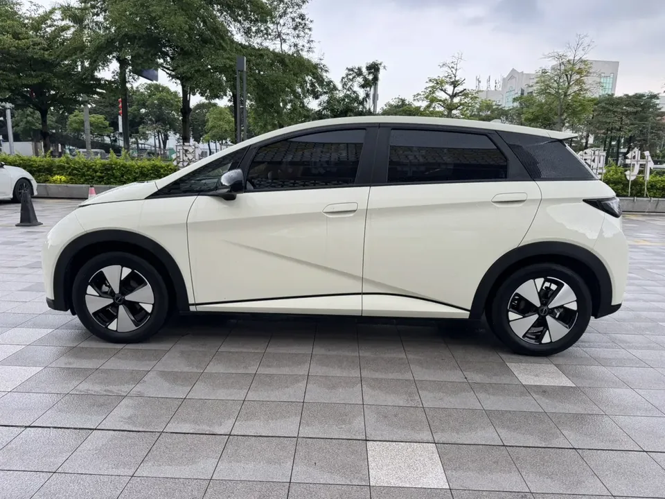 BYD Dolphin dolphin 2023 Free version 2024 — thumbnail 4