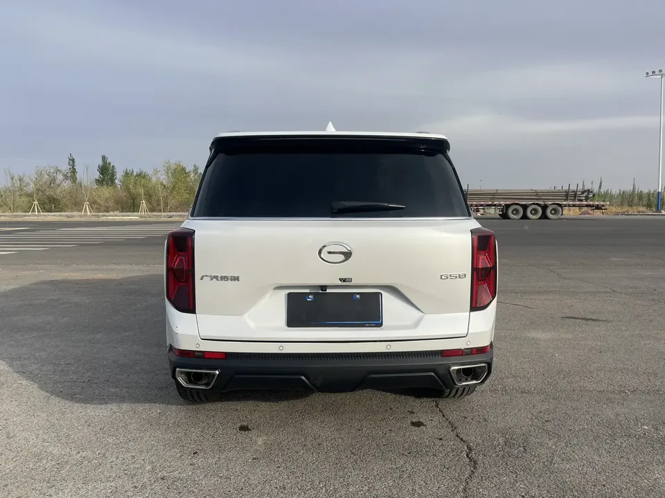 GAC Trumpchi GS8 Trumpchi GS8 2024 Trumpchi GS8 2024 Pilot Series 2.0TGDI 2WD Luxury Connected Edition 2025 — thumbnail 4