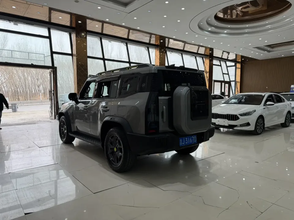 Jetour Jet Traveler Jet Traveler 2023 2.0TD 4WD Cross PRO+ 2024 — thumbnail 2