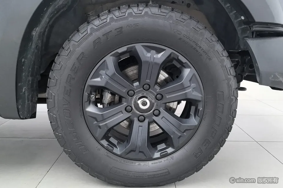 Great Wall gun Cannon Off-Road Edition 2.0T Gasoline Automatic Four-Wheel Drive Everest Edition GW4C20B 2022 — миниатюра 2