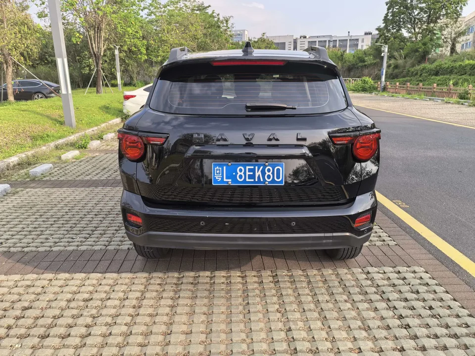 Haval Big Dog PLUS 1.5T 2WD Trendy Wild Edition Plus 2024 — миниатюра 5