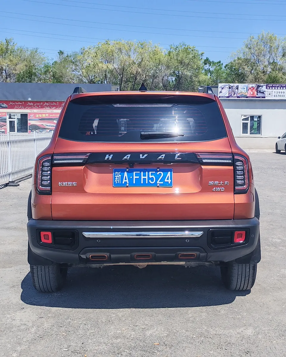 Haval Dargo 2.0T four-wheel drive roaring dog version 2022 — миниатюра 2