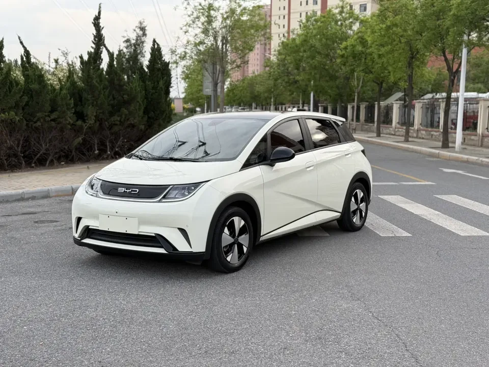 BYD Dolphin dolphin 2023 Fashion version 2023 — фото 1, купить с доставкой в Москву