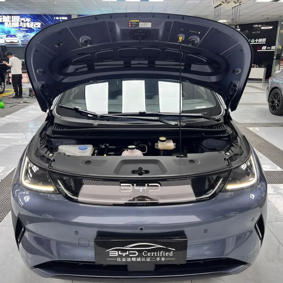 BYD Dolphin Smart Driving Edition 410KM Fashion Edition 2025 — миниатюра 2