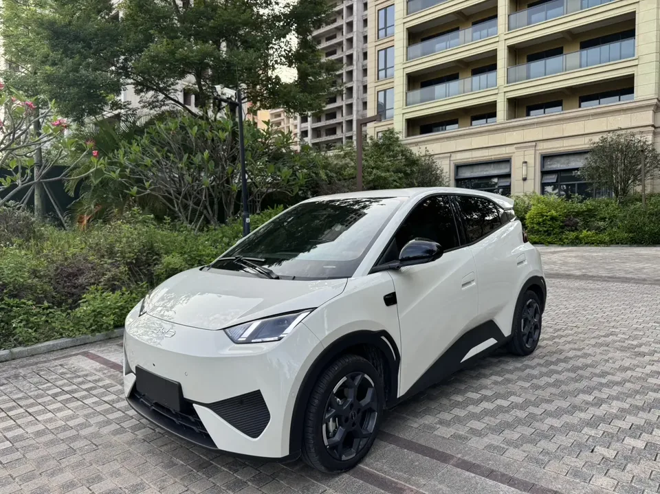 BYD Seagull Seagull 2025 Intelligent Driving Edition 305KM Free Edition 2025 — фото 1, купить с доставкой в Москву