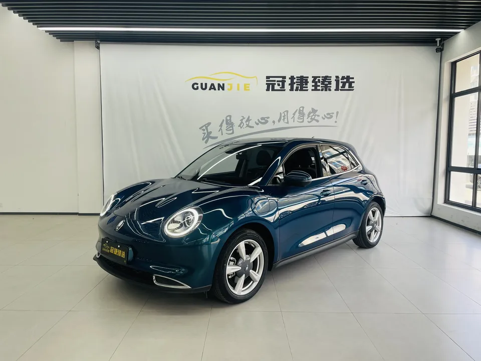 ORA Euler good cat Euler good cat 2021 400km standard range Venus version lithium iron phosphate battery 2022 — photo 1, buy with delivery to Moscow