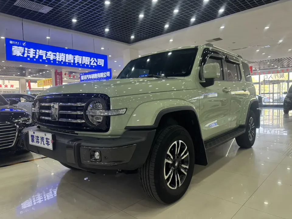 Tank 300 300 2021 City Edition 2.0T My View 2022 — photo 1, buy with delivery to Moscow