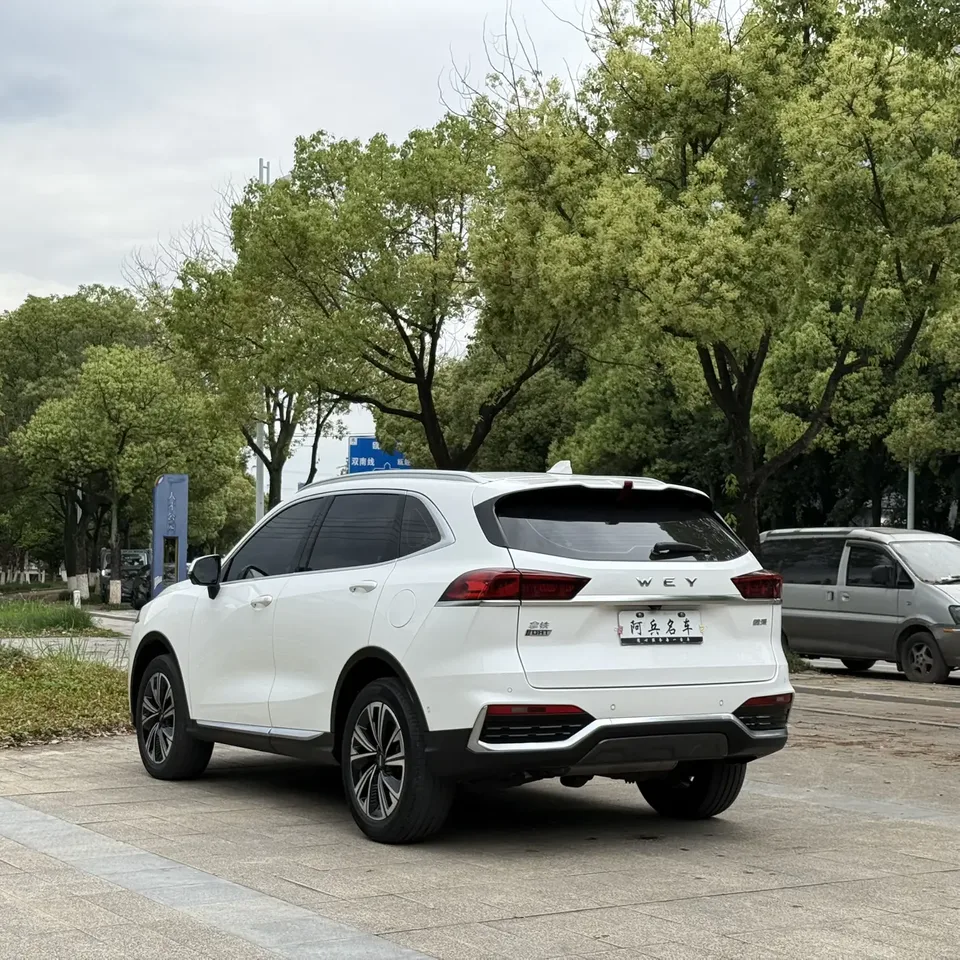 WEY Latte DHT Latte DHT 2022 1.5T DHT medium cup 2022 — миниатюра 2