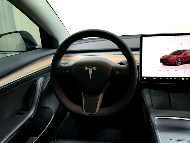 Tesla Model 3 Model 3 2022 Rear-wheel drive 2022 — thumbnail 4