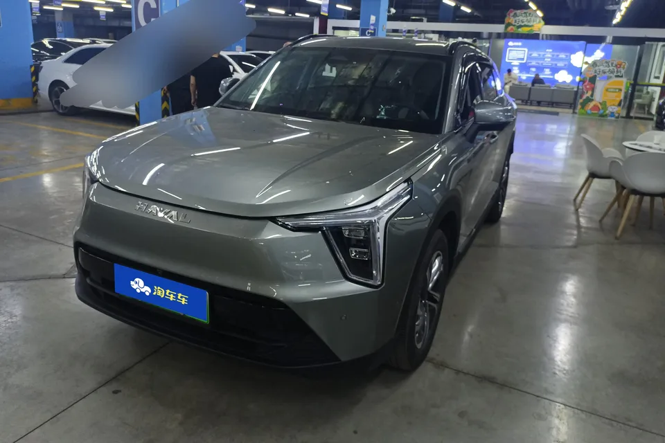 Haval Harvard Xiaolong 2024