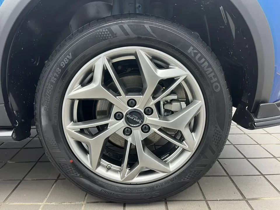 Haval Harvard Red Rabbit Haval Red Rabbit 2022 Exclusive Edition 1.5T Brass Rabbit 2022 — миниатюра 2