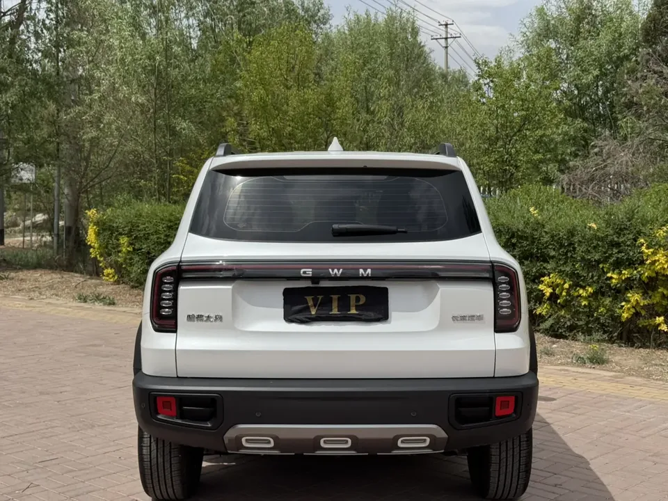 Haval Dargo Haval Big Dog 2026 1.5T 2WD Labrador Edition 2026 — миниатюра 2