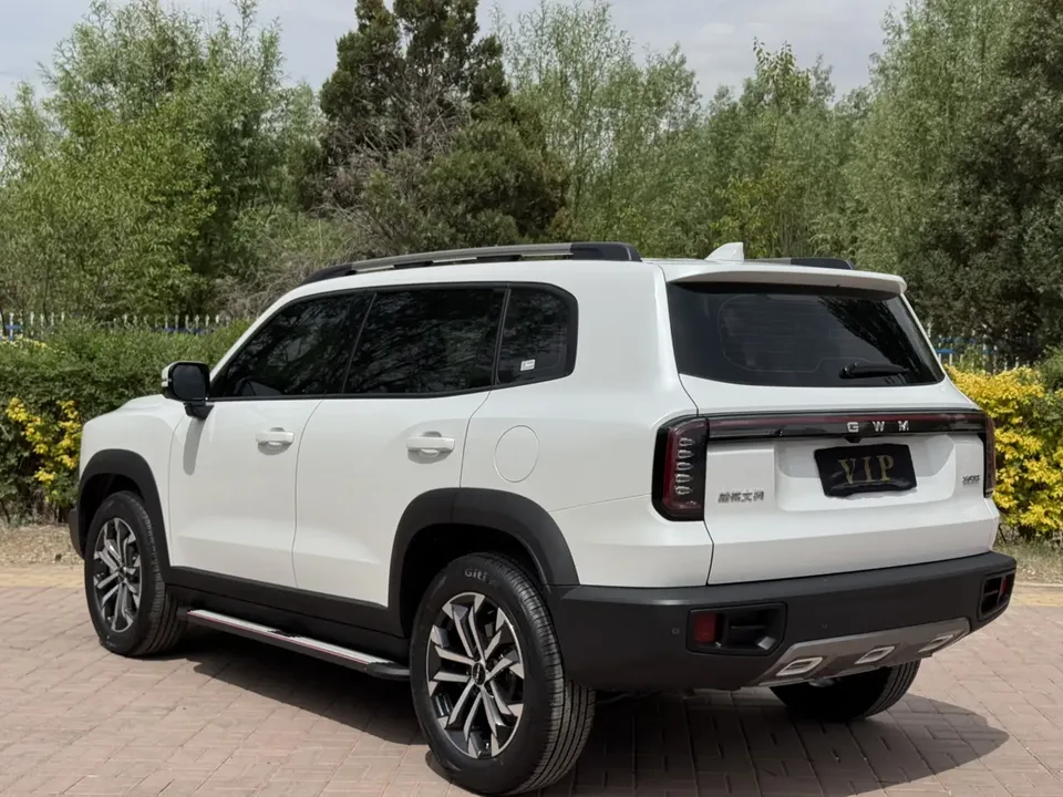 Haval Dargo Haval Big Dog 2026 1.5T 2WD Labrador Edition 2026 — миниатюра 4