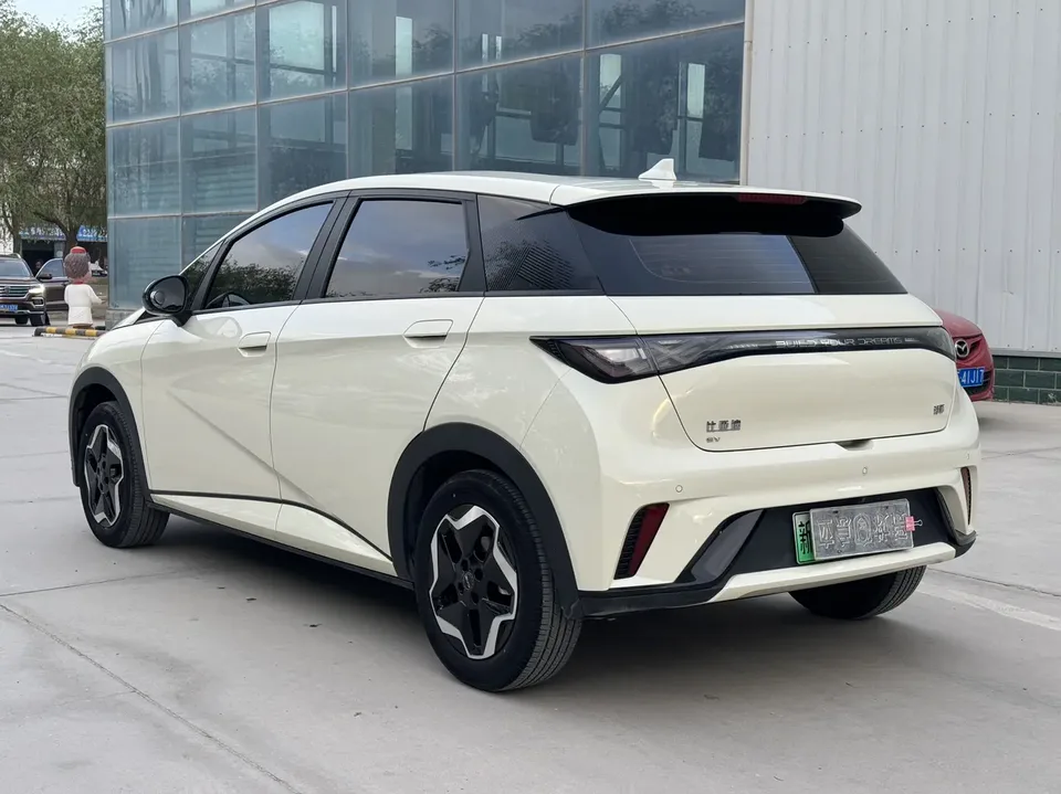 BYD Dolphin Honor Edition 420km Free Edition 2024 — миниатюра 4