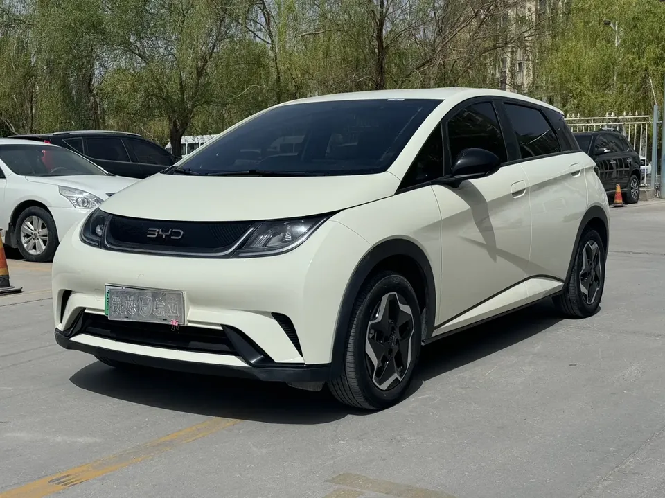 BYD Dolphin 2024