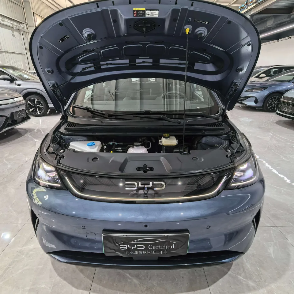 BYD Dolphin Dolphin 2025 Smart Driving Edition 410KM Fashion Edition 2025 — thumbnail 2