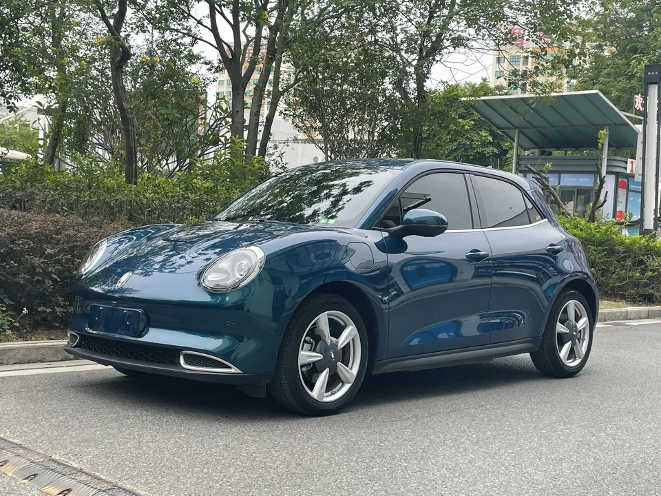 ORA Euler good cat 2023