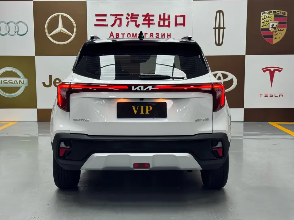 Kia Seltos CYLTUS 1.5L IVT Luxury Edition 2023 — миниатюра 2