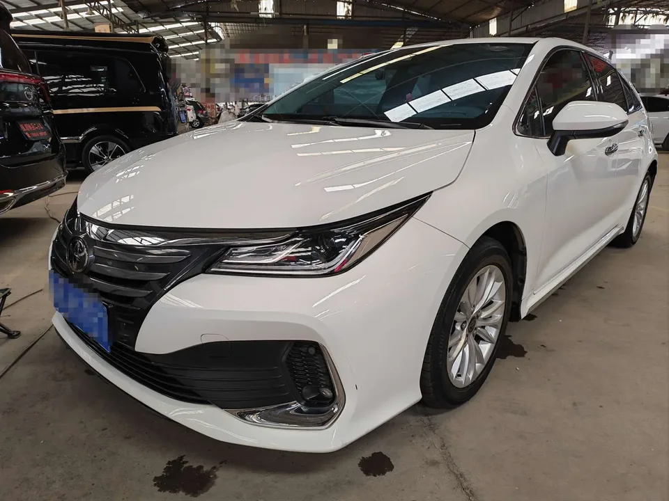 Toyota Asiatic lion 2022