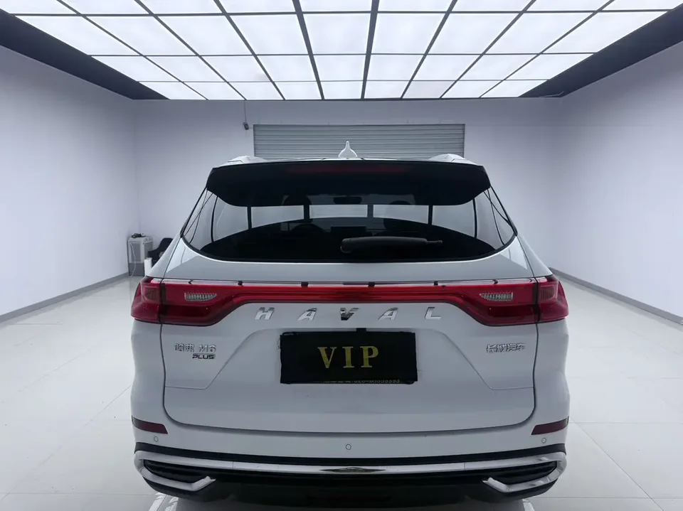 Haval M6 PLUS 1.5T DCT Luxury Smart Connected Edition 2023 — миниатюра 2