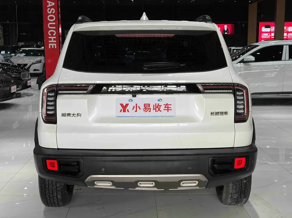 Haval Dargo 1.5T 2WD Border Collie Edition 2022 — миниатюра 2