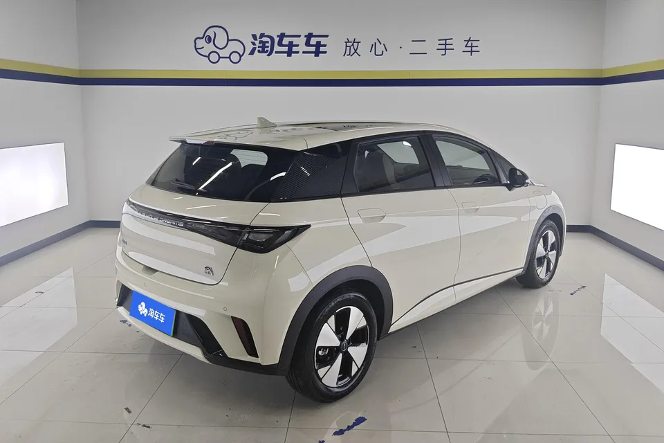 BYD Dolphin Dolphin 2023 Fashion Edition 2024 — миниатюра 3